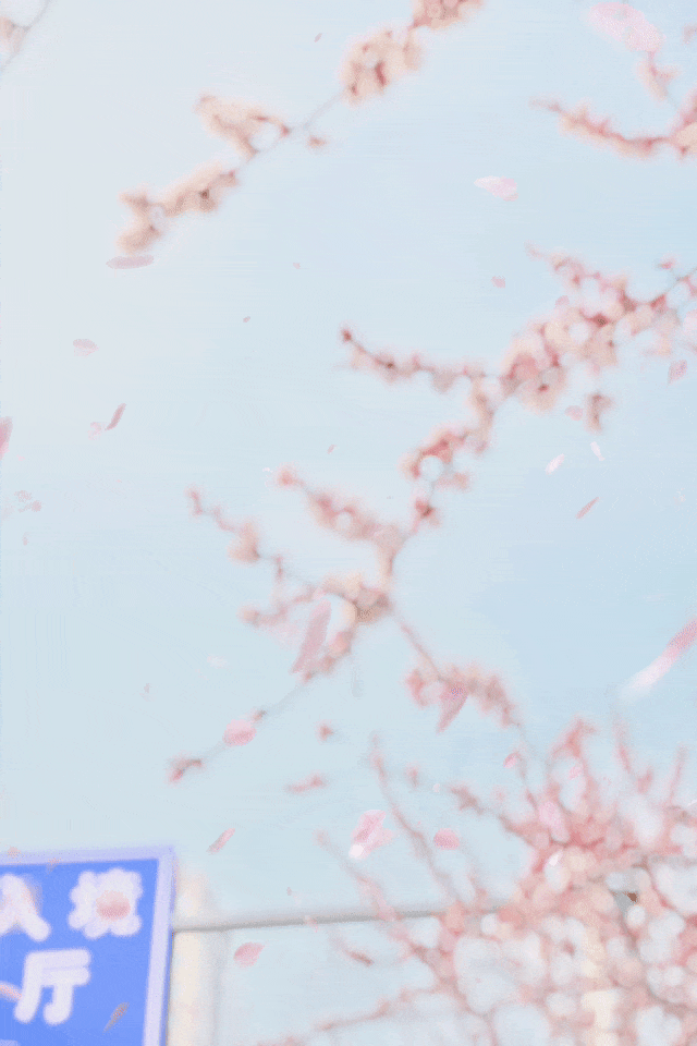 2.gif 2.gif