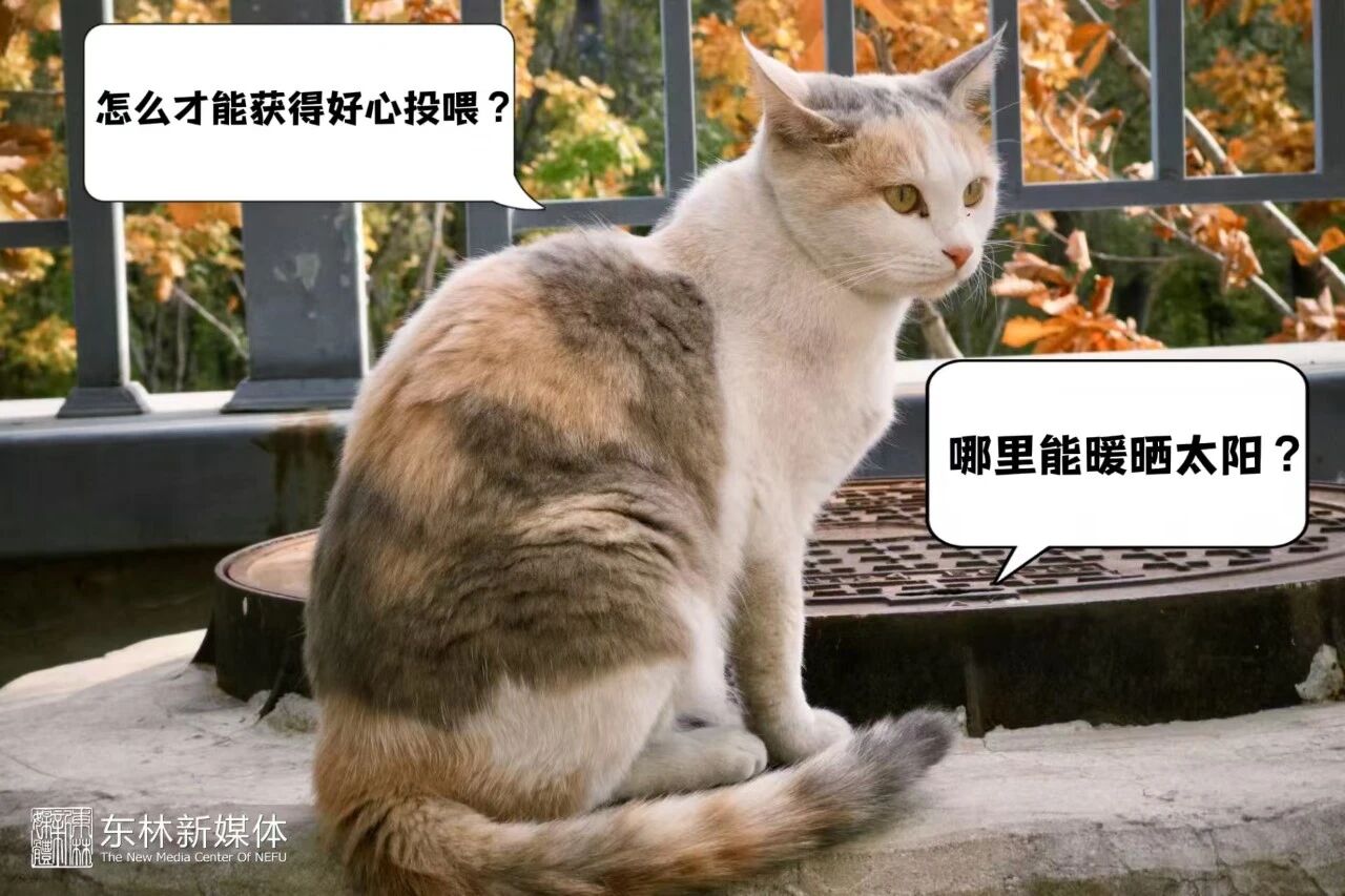 微信图片_2026-10-17_210749_130.jpg