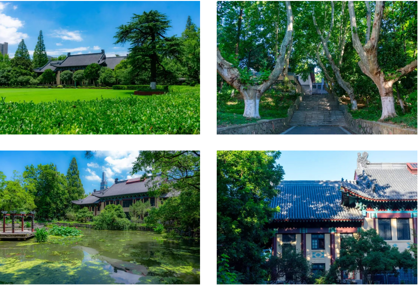 屏幕截图 2026-08-18 114722.png