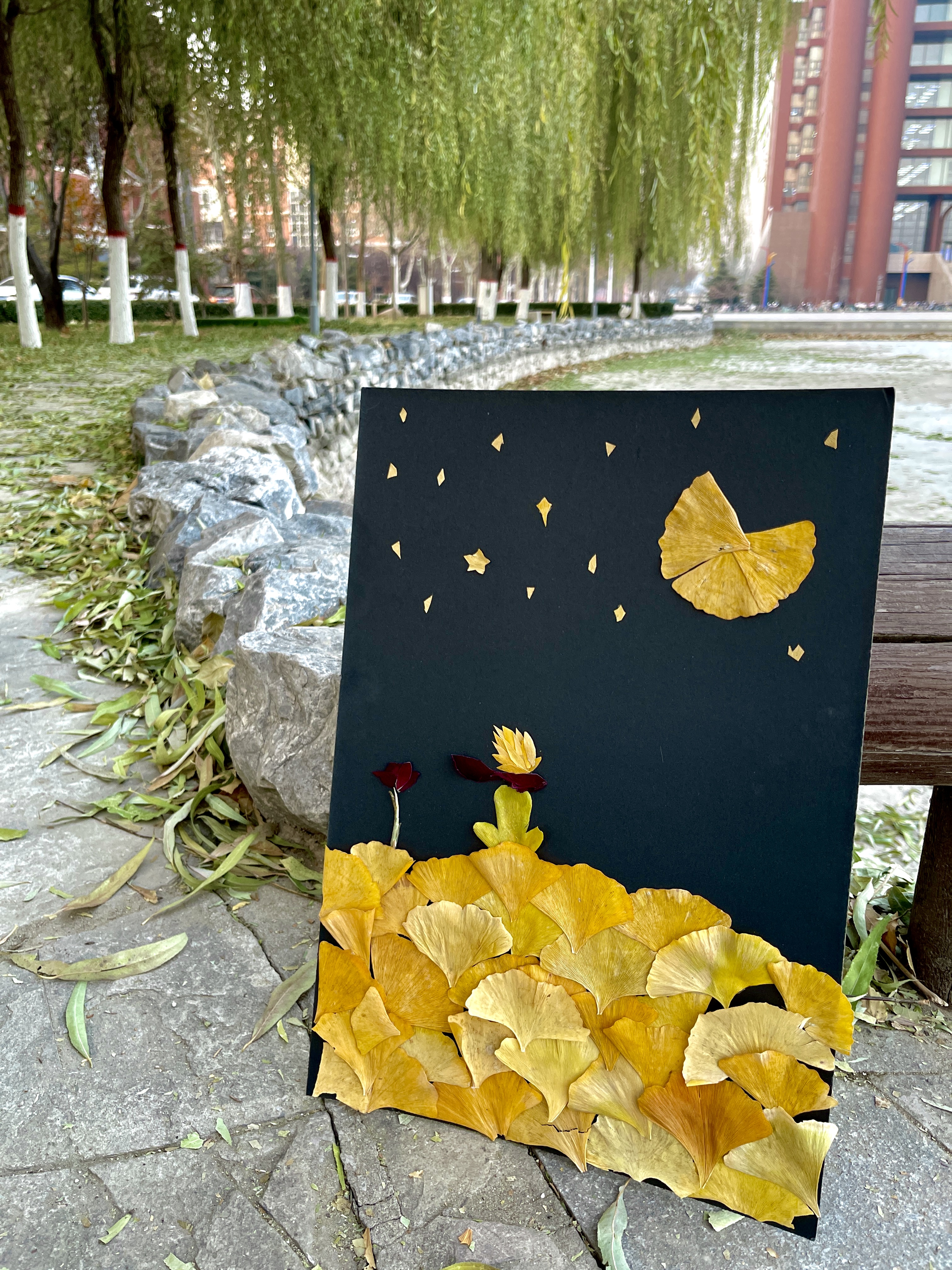 夜晚仰望星空，身旁伴以玫瑰。 创作者：王志翔