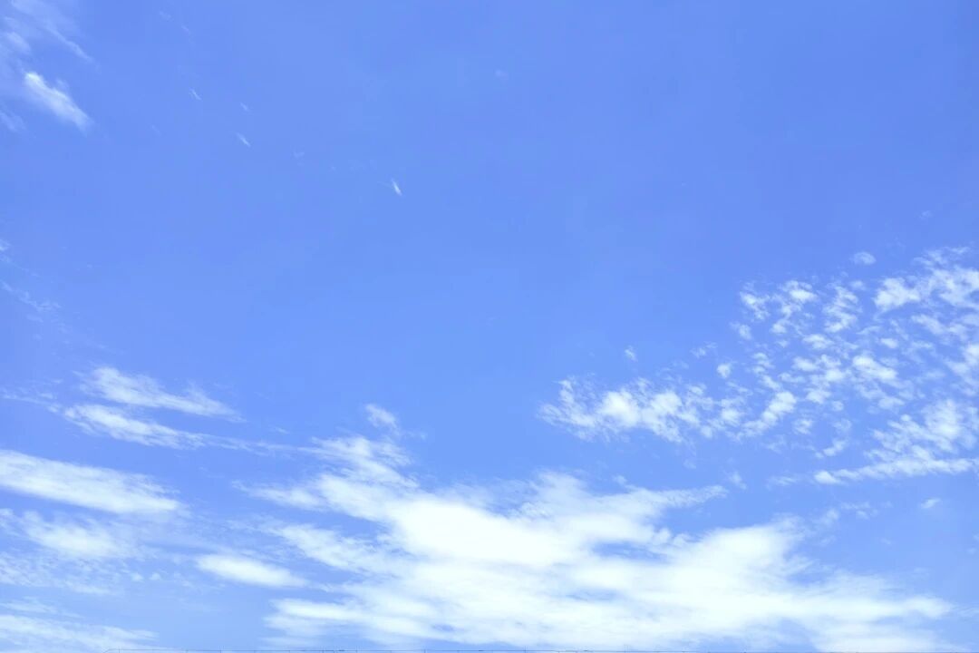 19.jpg 19.jpg