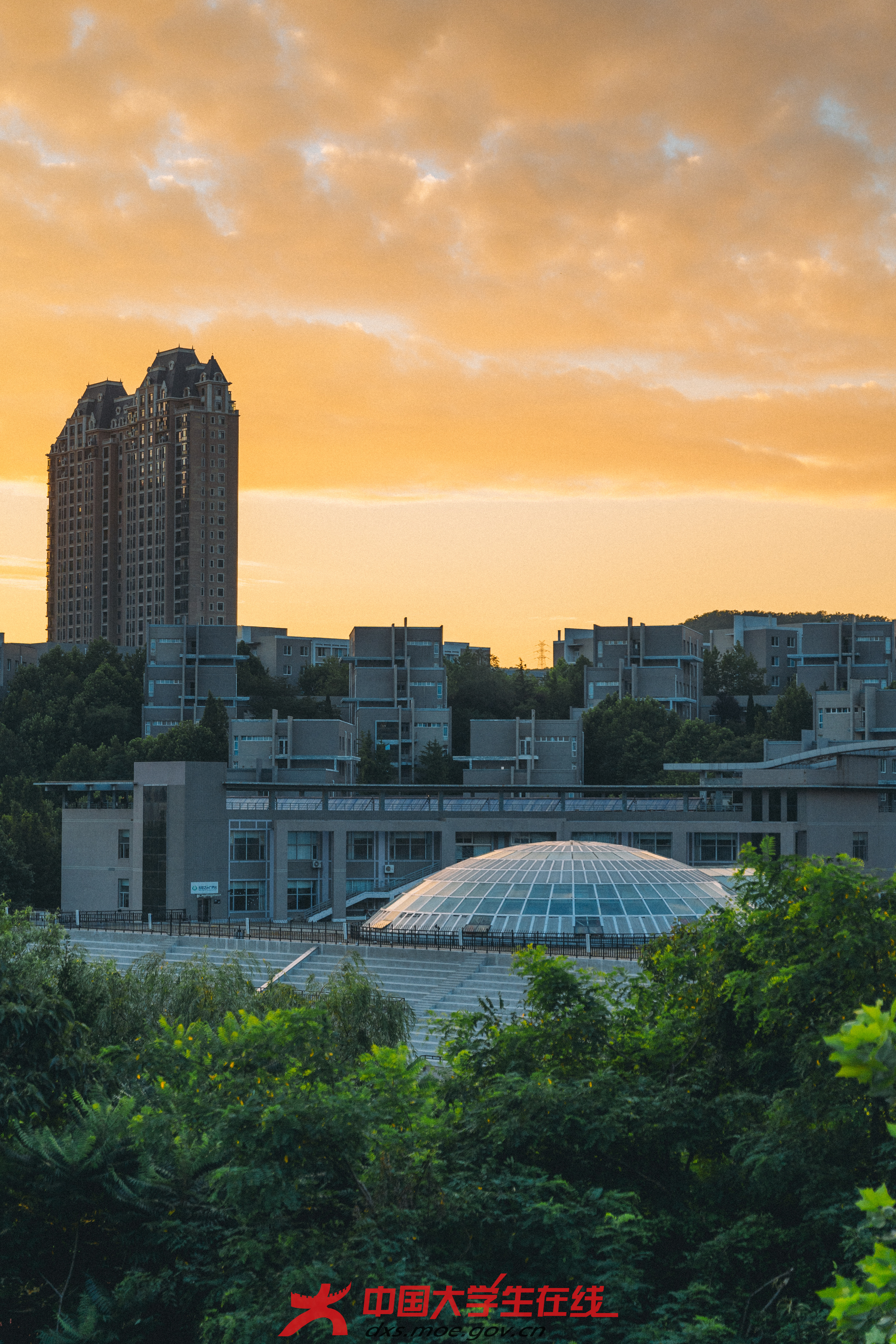 东软新闻社(大连东软信息学院校园网络通讯站) 王柏惟 拍摄