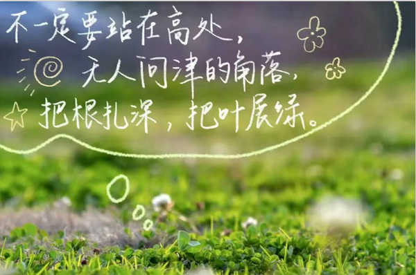 2.png 2.png