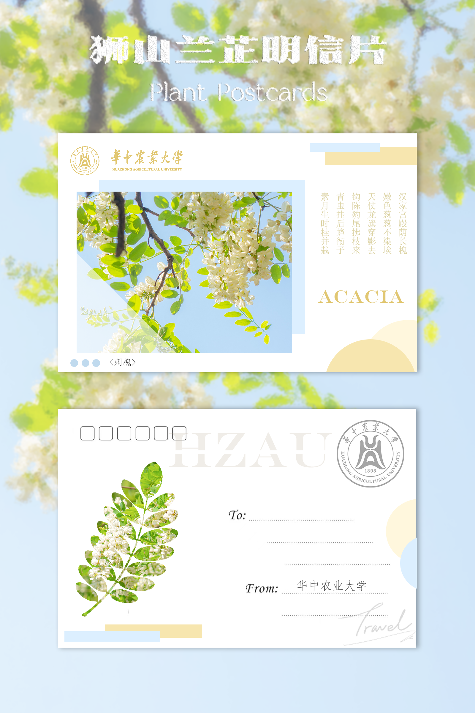 美工｜王亚晶
