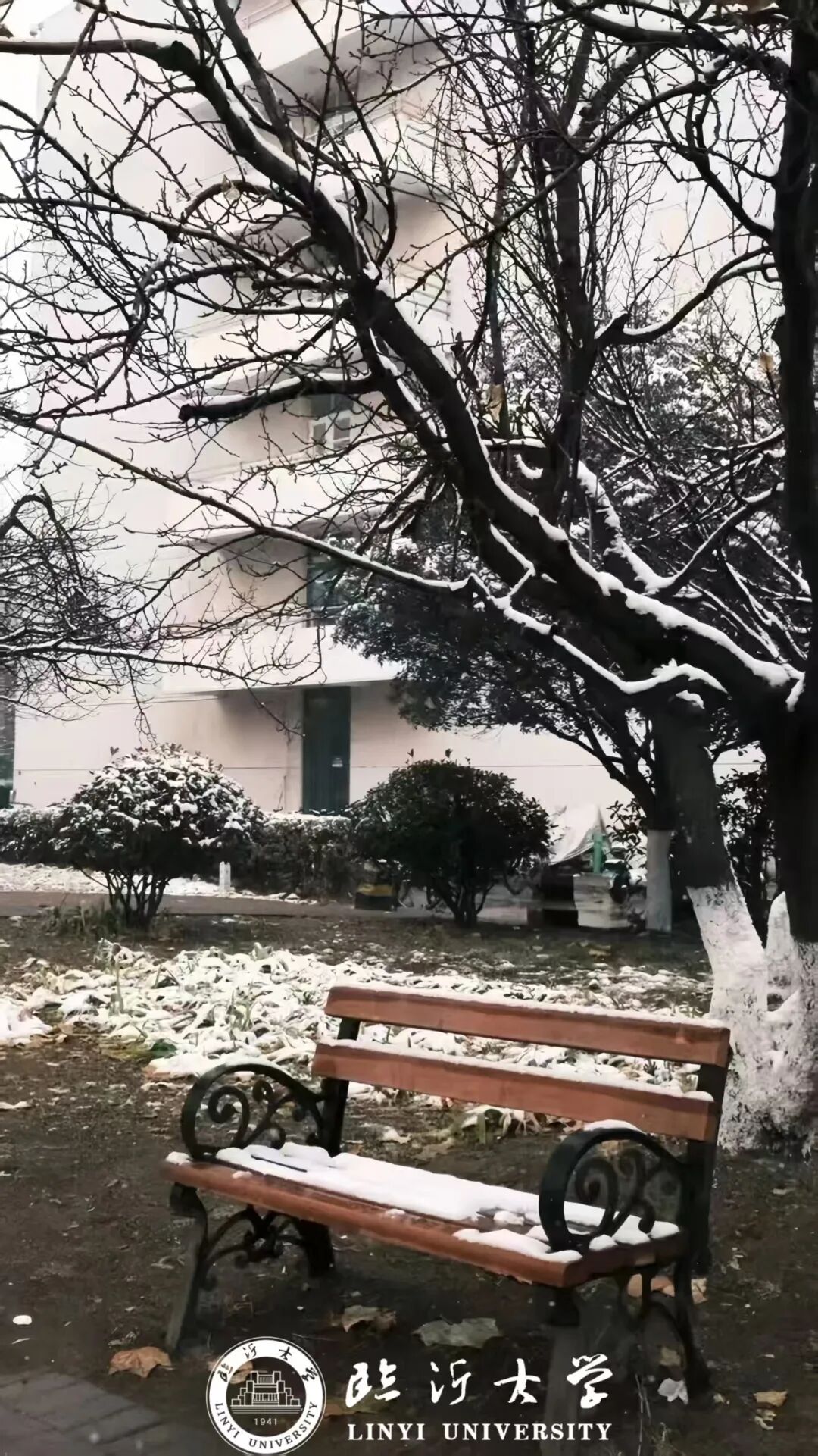 微信图片_2025-12-25_173748_737.jpg 微信图片_2025-12-25_173748_737.jpg