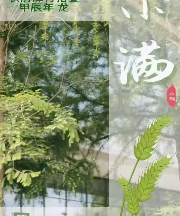 微信图片_20250202185734.jpg 微信图片_20250202185734.jpg