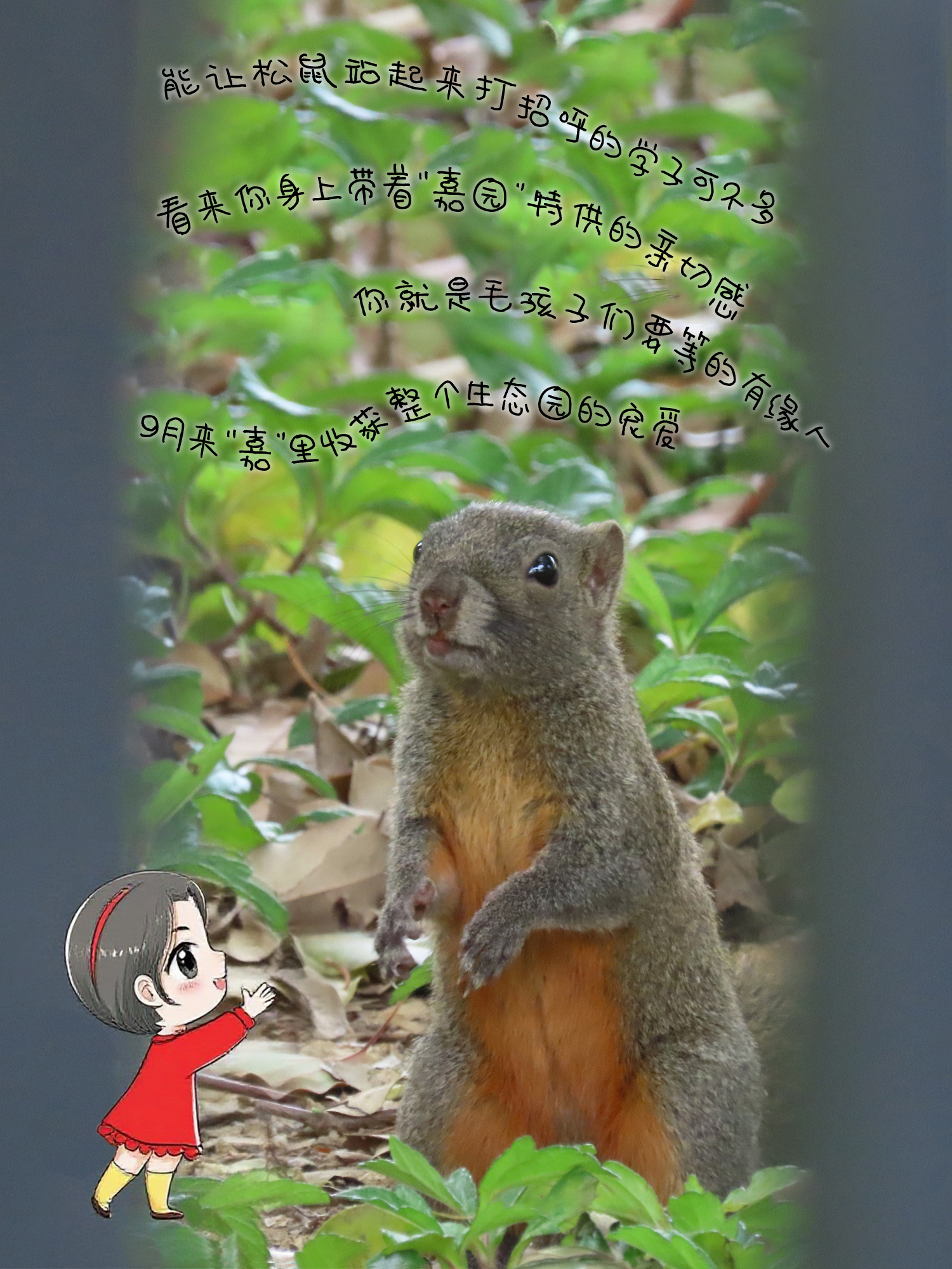 《松鼠》能让松鼠站起来打招呼的学子可不多，看来你身上带着“嘉园”特供的亲切感。你，就是毛孩子们要等的有缘人！9月来“嘉”里，收获整个生态园的宠爱！（摄影：黄振谊）