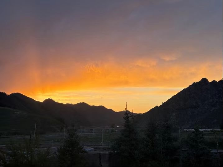 微信图片_20251031130245_30_158.jpg 微信图片_20251031130245_30_158.jpg