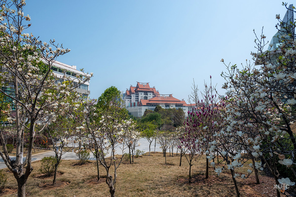 玉兰ubp22042陈宇.jpg
