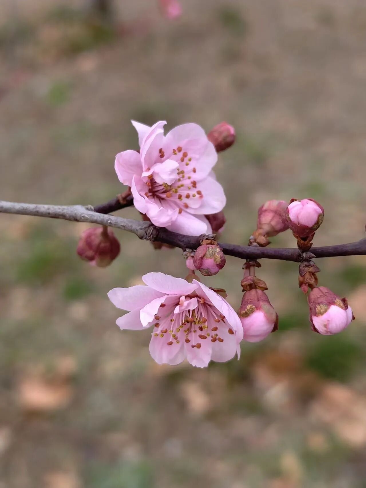 微信图片_2026-03-24_191150_879.jpg 微信图片_2026-03-24_191150_879.jpg