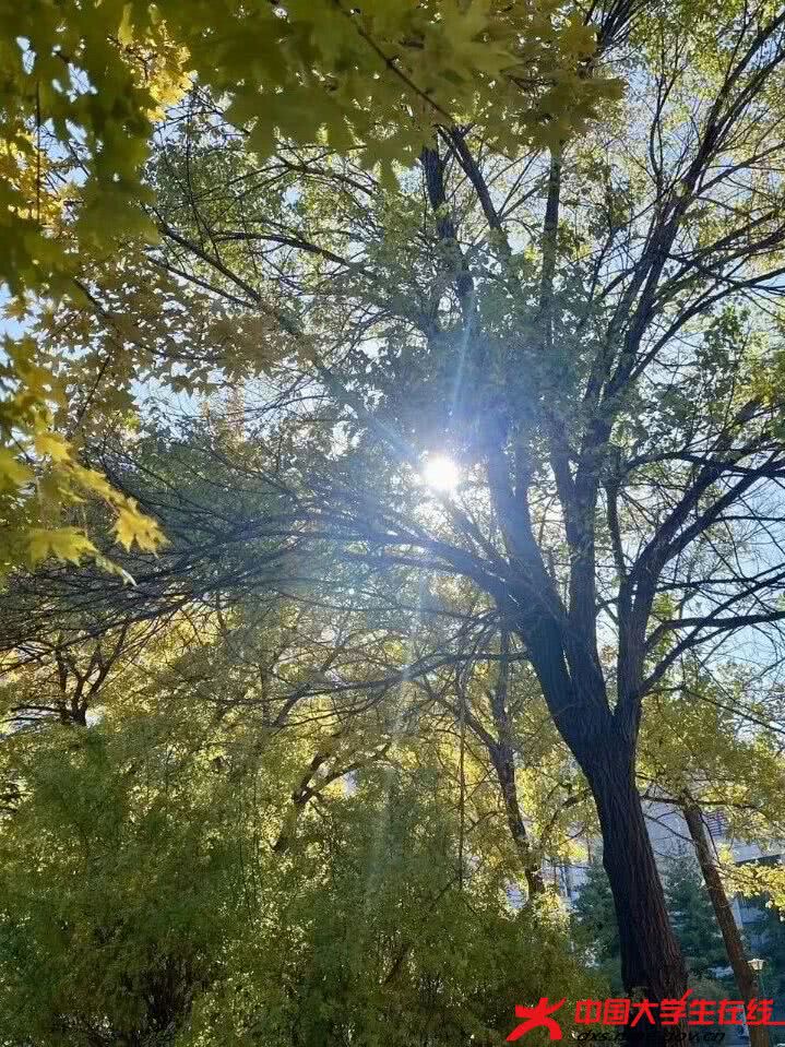 微信图片_2026-03-29_162717_794.jpg 微信图片_2026-03-29_162717_794.jpg