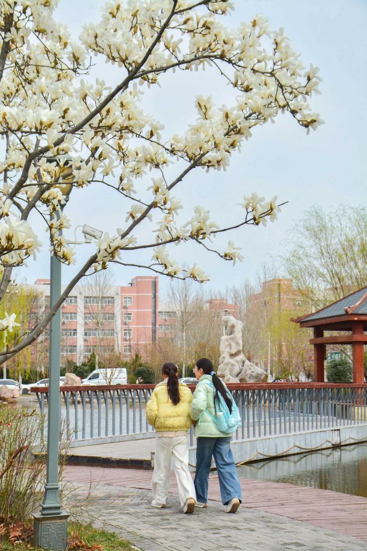 微信图片_2026-03-24_192018_445.jpg 微信图片_2026-03-24_192018_445.jpg