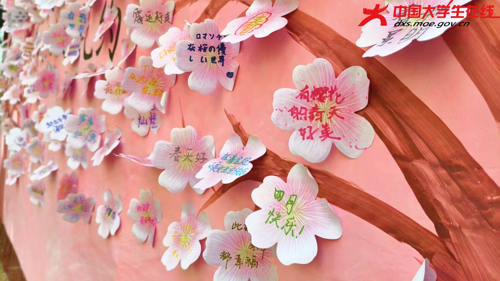 同学们在樱花树下写的祝福便签  图片来源：周广昂