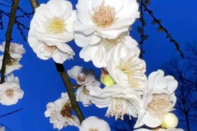 屏幕截图 2026-04-14 201857.png 屏幕截图 2026-04-14 201857.png