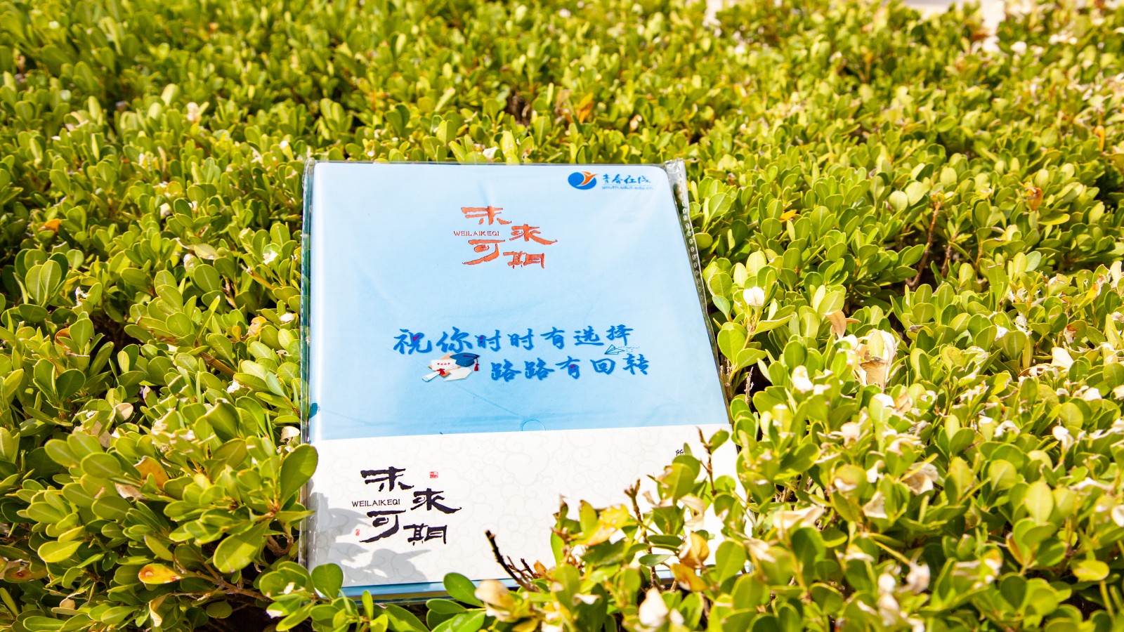 图为山东理工大学青春在线毕业礼物（魏德骁 摄）