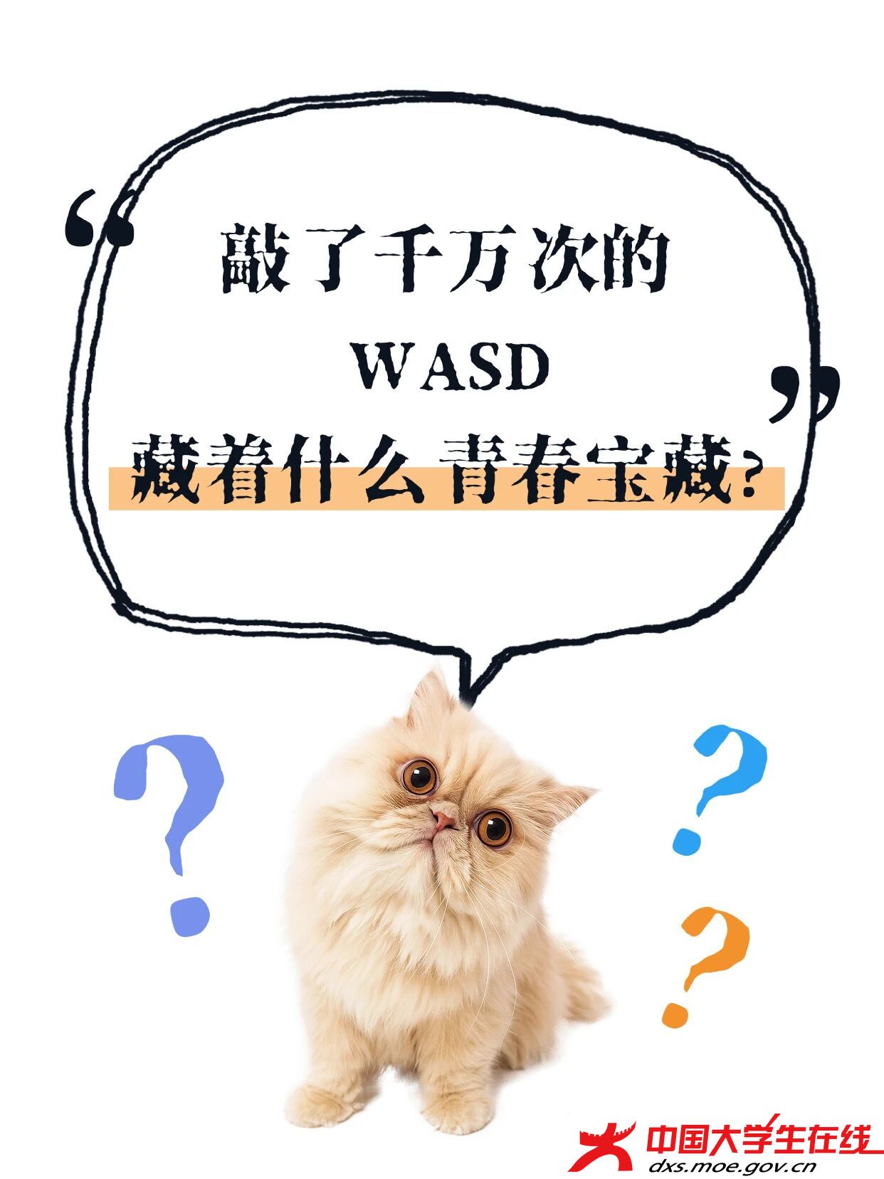 微信图片_2026-08-05_152258_407.jpg 微信图片_2026-08-05_152258_407.jpg