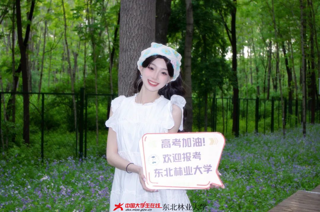 d3849be28109a4716c46fe6d4f21350f.jpeg d3849be28109a4716c46fe6d4f21350f.jpeg