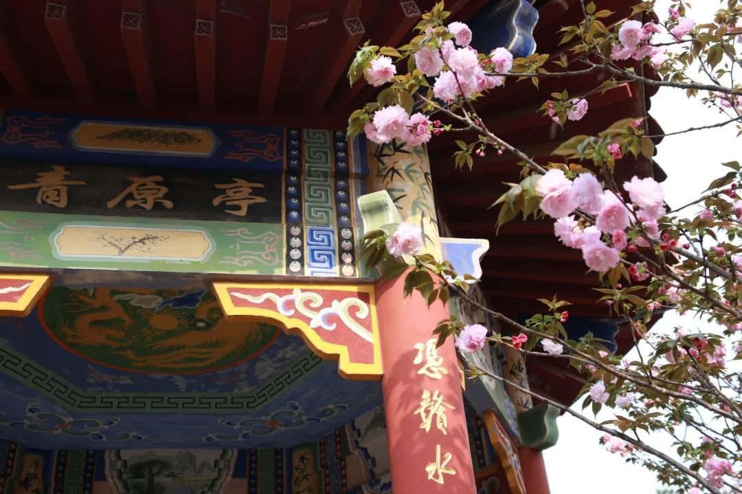你要写井大,就不能只写井大…… - 井冈山大学 - 中国大学生在线