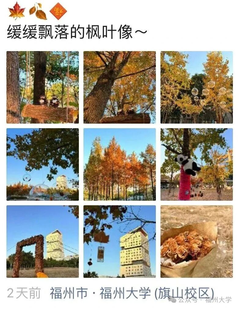 4.jpg 4.jpg