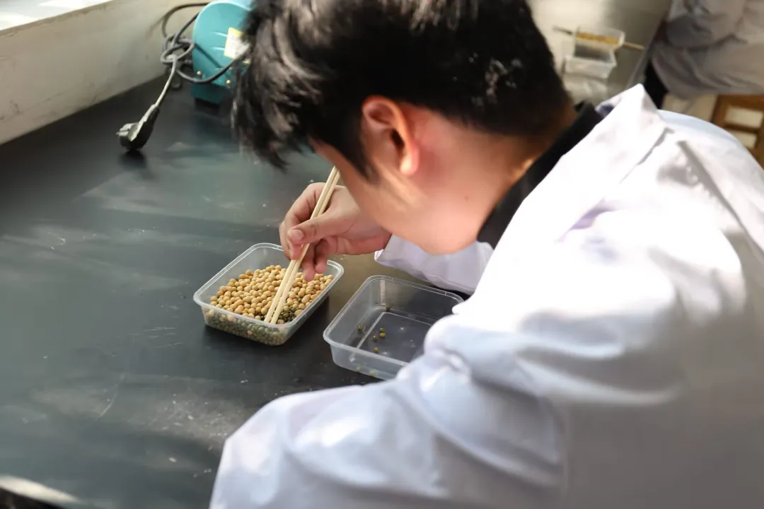 图片9.png 图片9.png