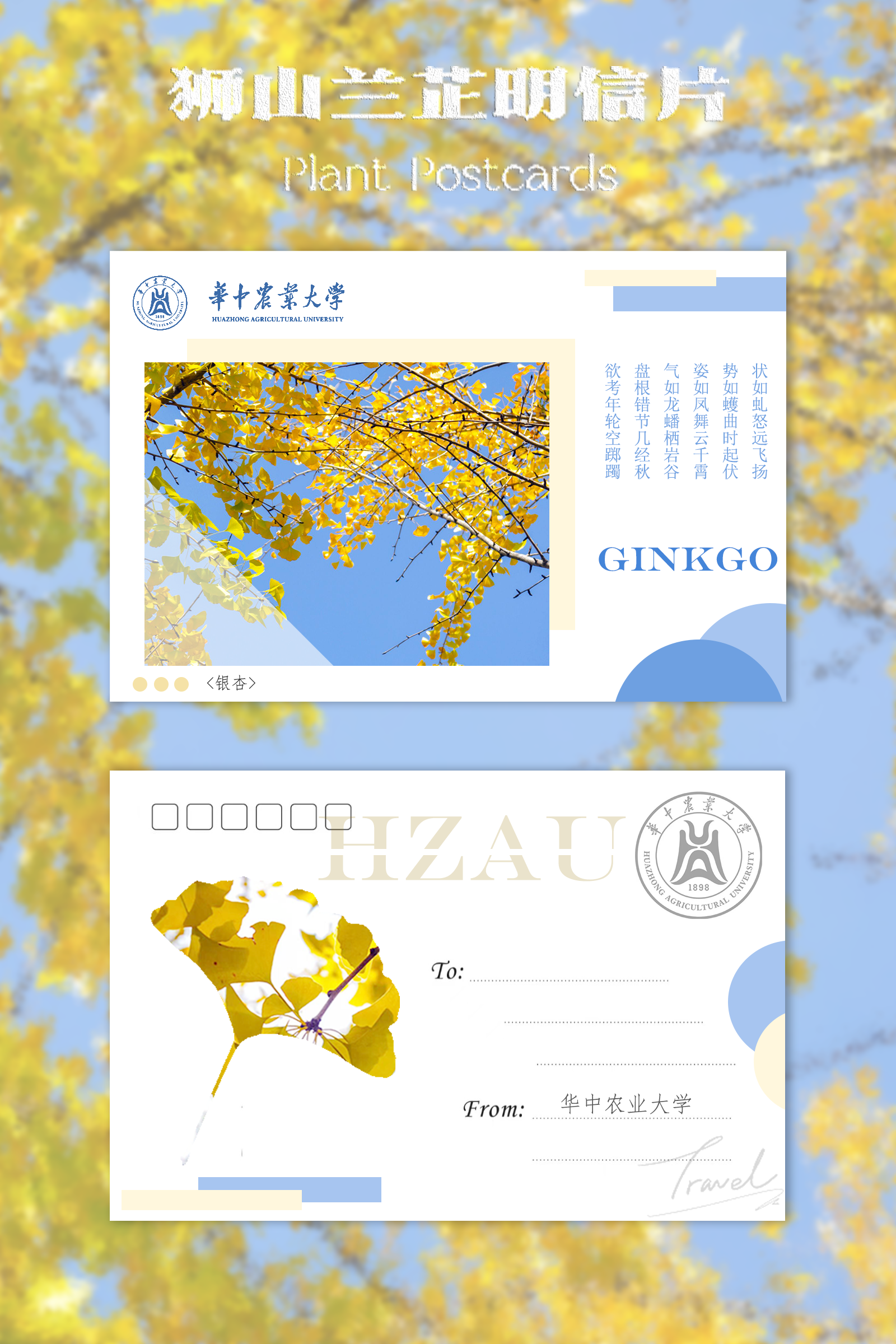 美工｜王亚晶