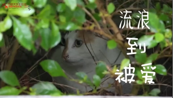 微信图片_20251128193011_234_173.jpg