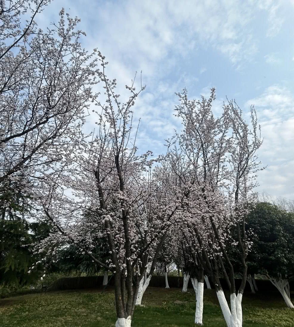 图片2.jpg 图片2.jpg