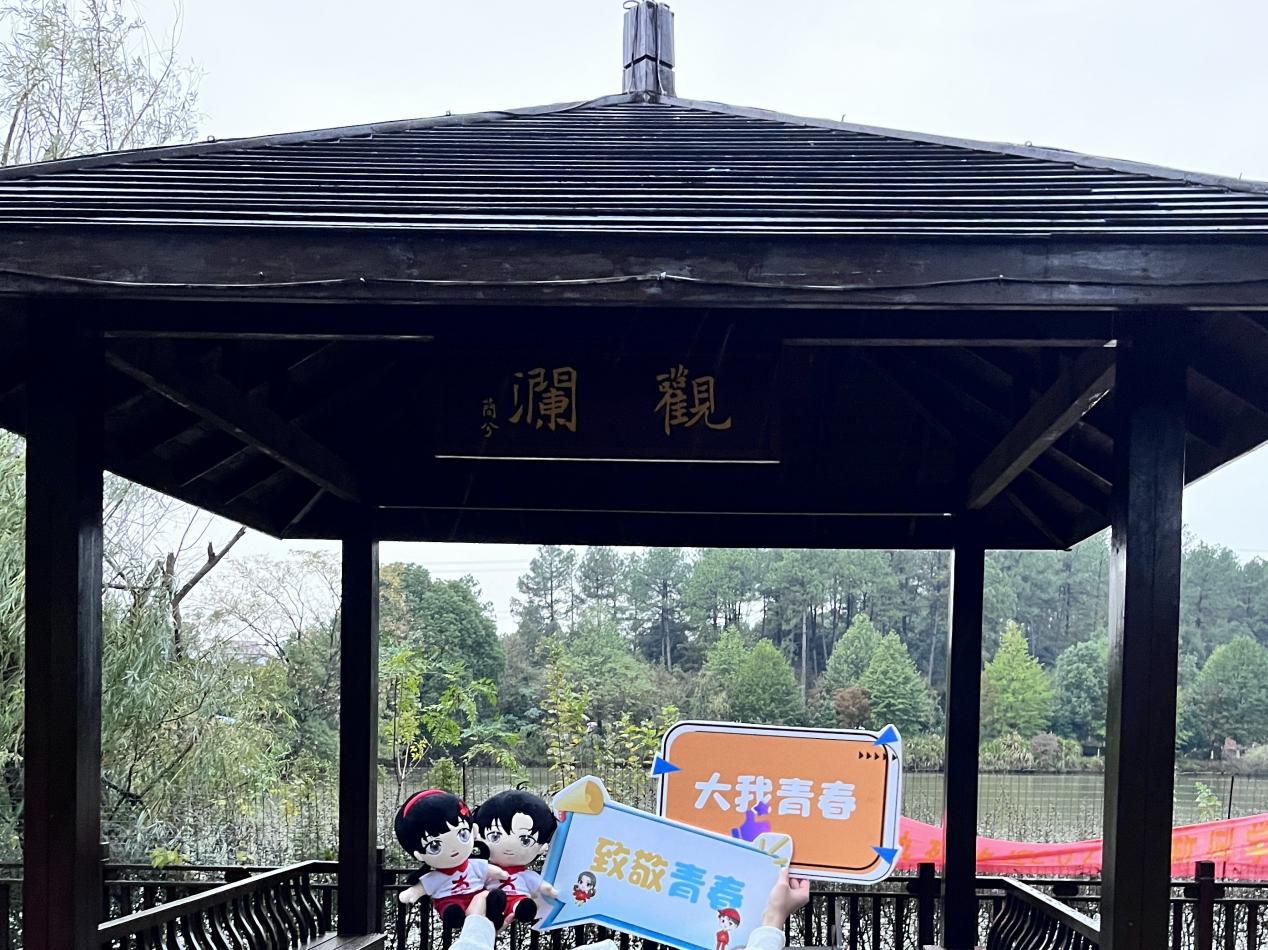 图片22.jpg 图片22.jpg