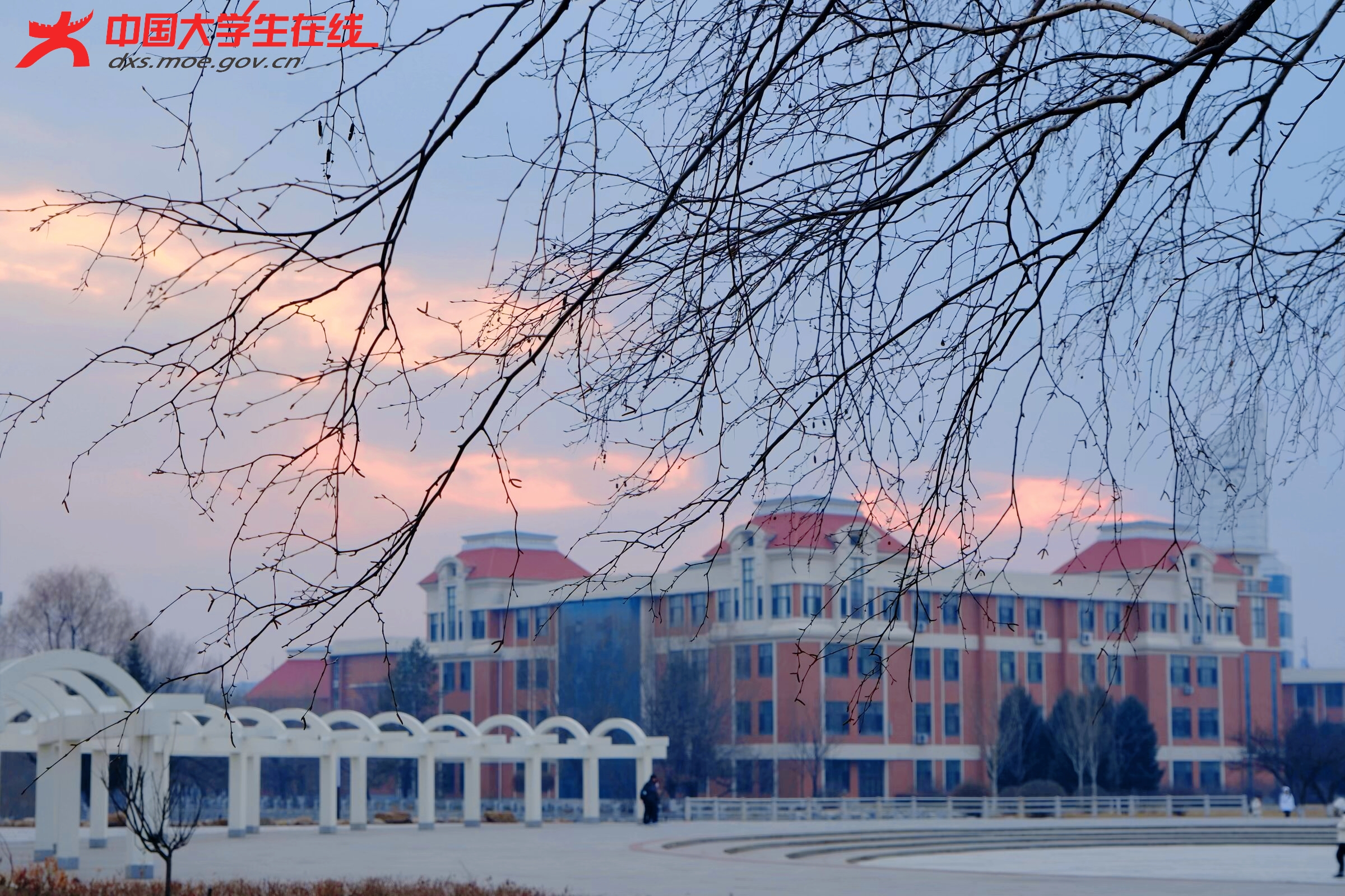 校园被夕阳撒上一层独特的粉金色