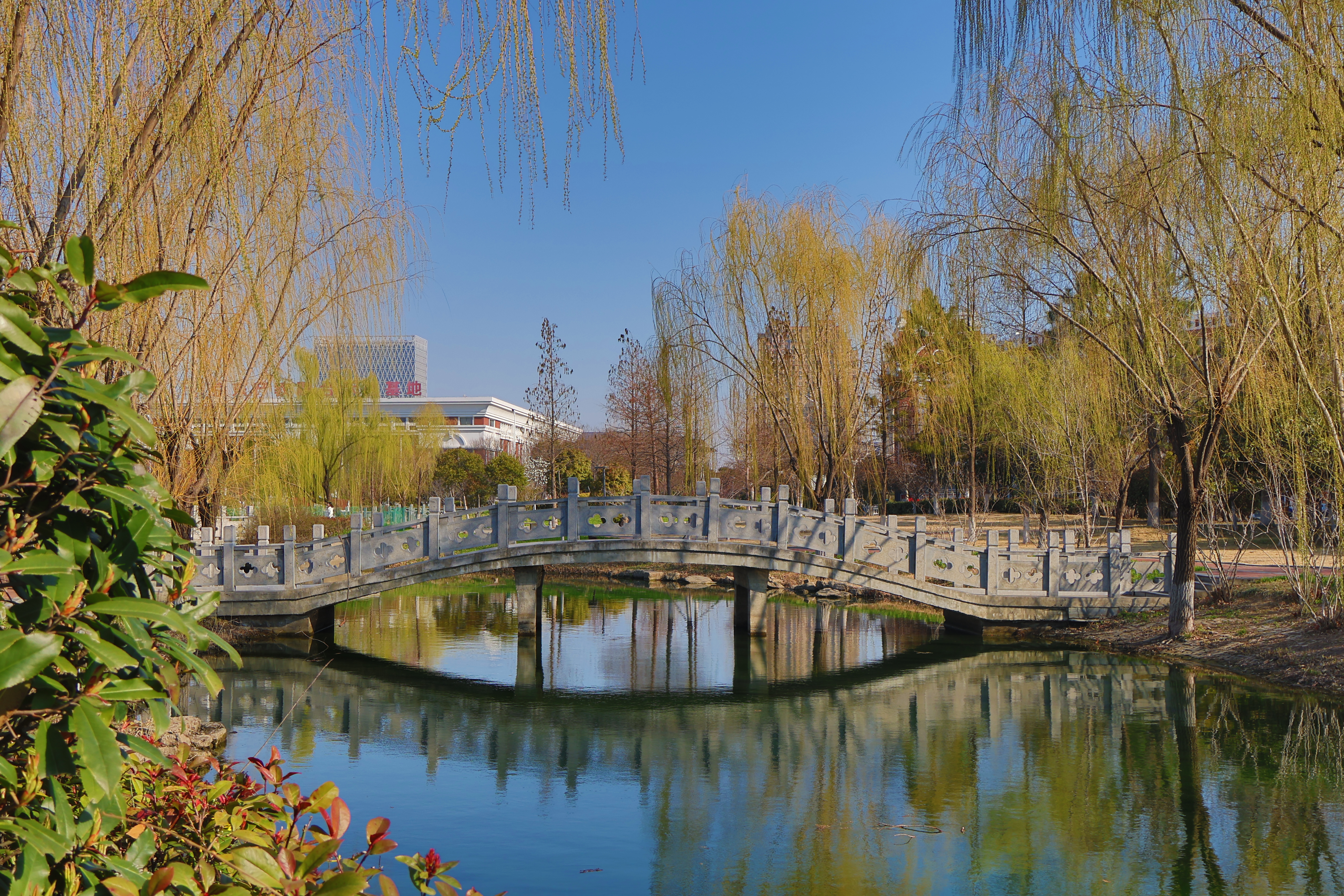 春日校园