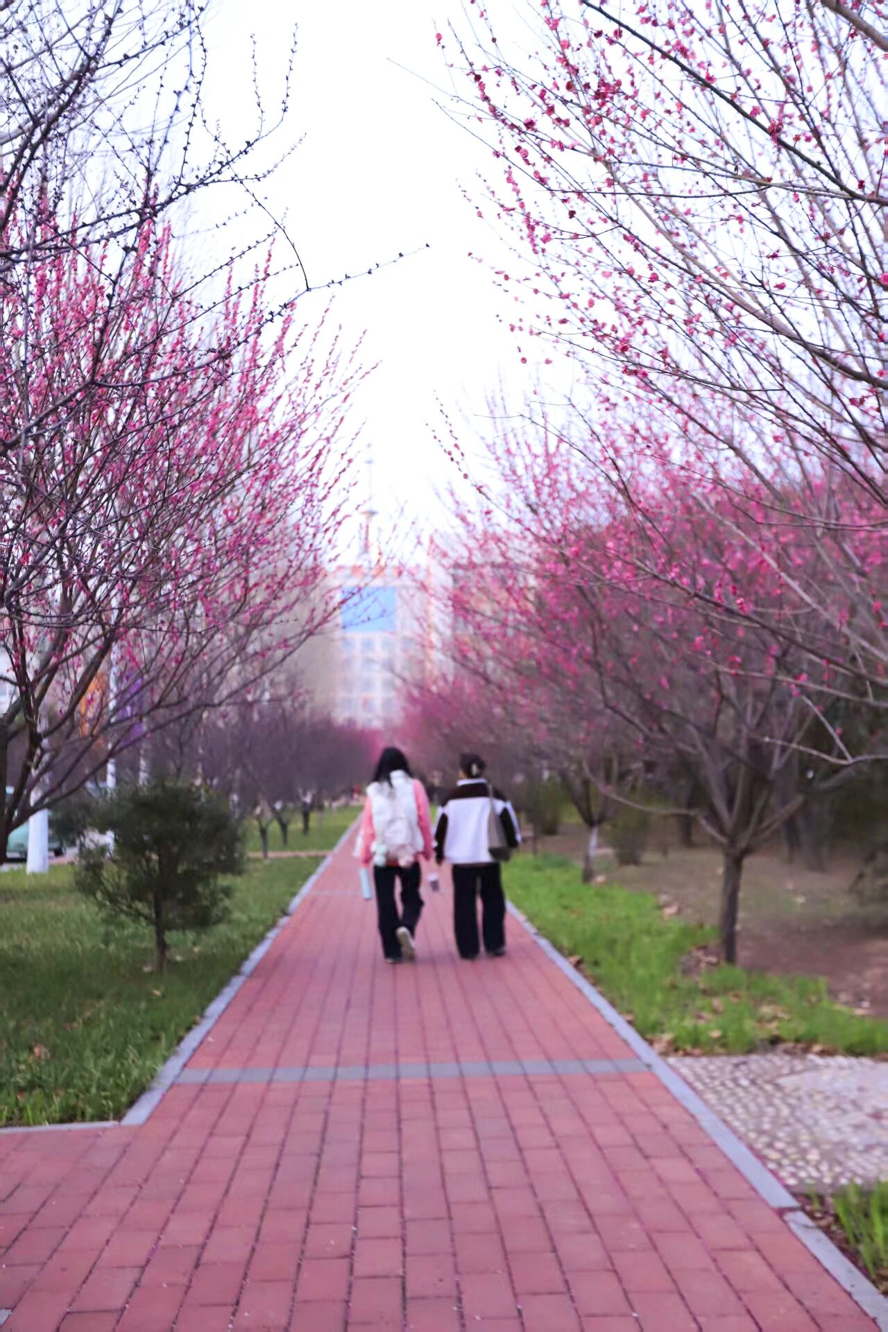 微信图片_2026-03-24_191256_735.jpg 微信图片_2026-03-24_191256_735.jpg