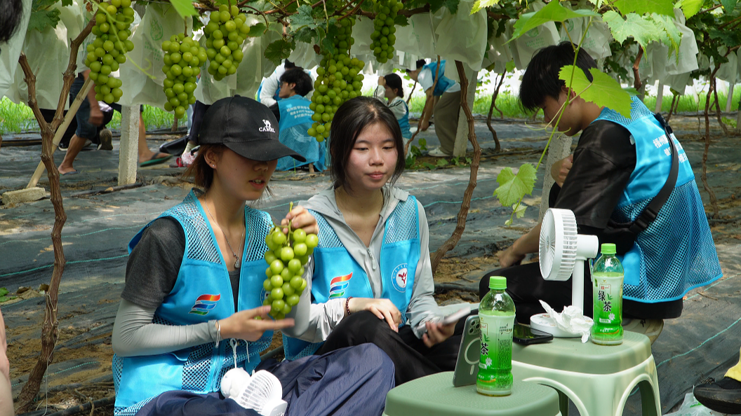 图片 7.png 图片 7.png