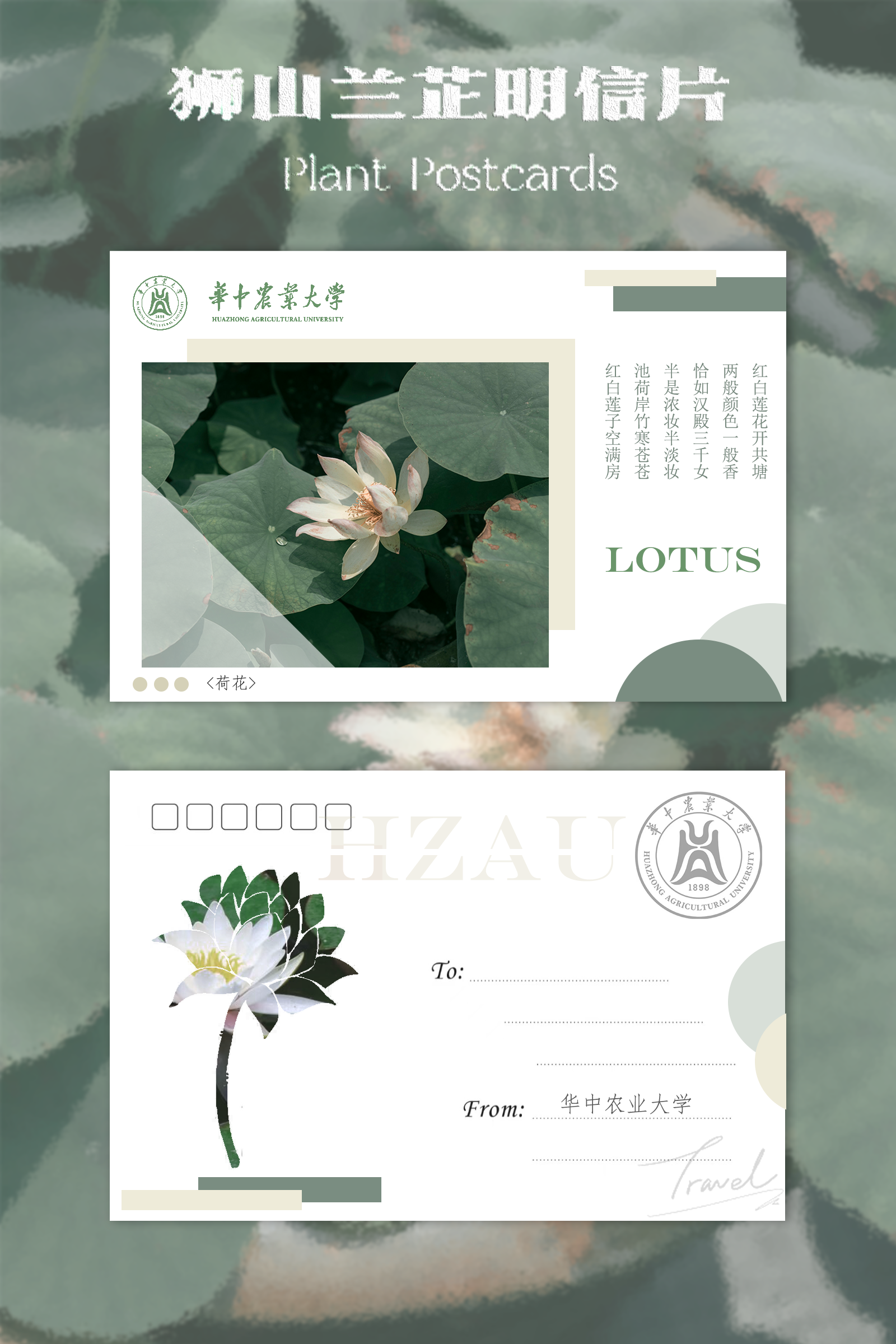 美工｜王亚晶