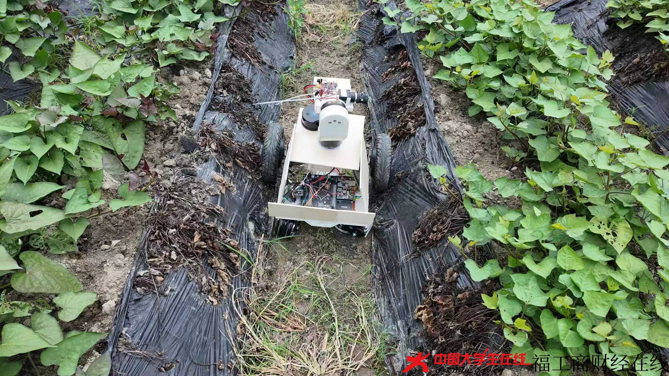 微信图片_20260803185245_1220_1097.jpg