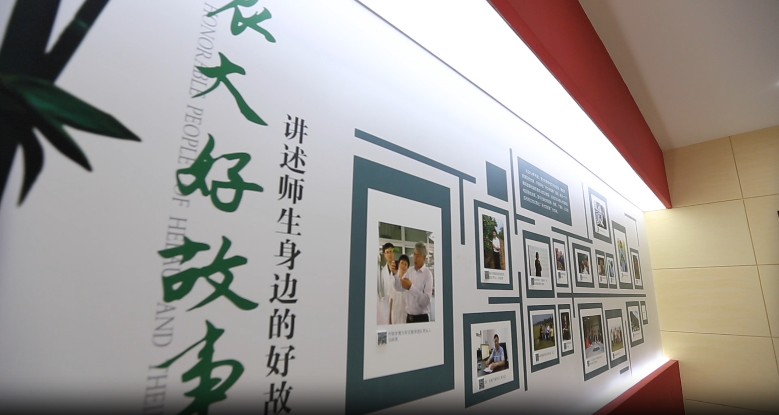 微信截图_20240326193912.png 微信截图_20240326193912.png