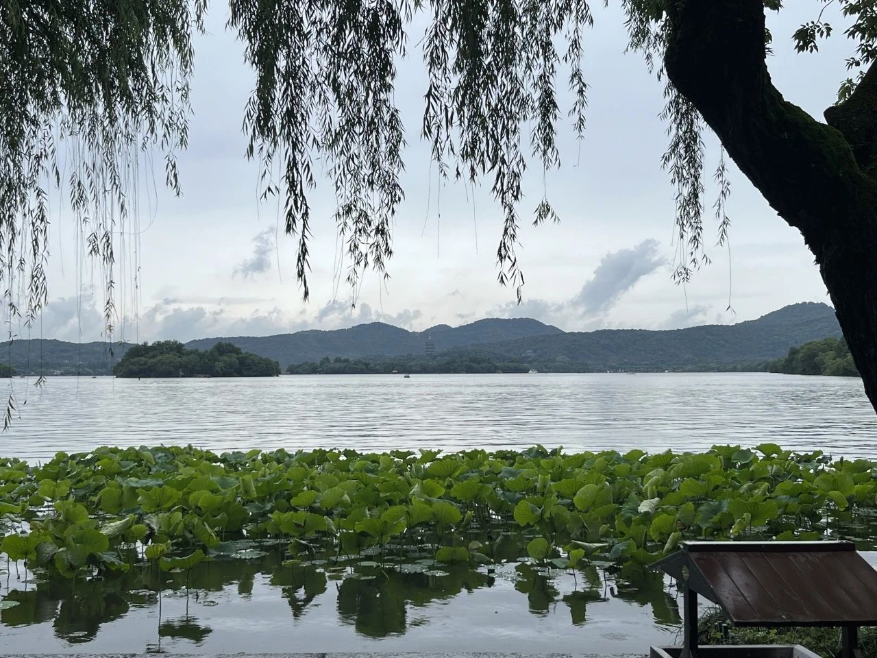 西湖.jpg 西湖.jpg