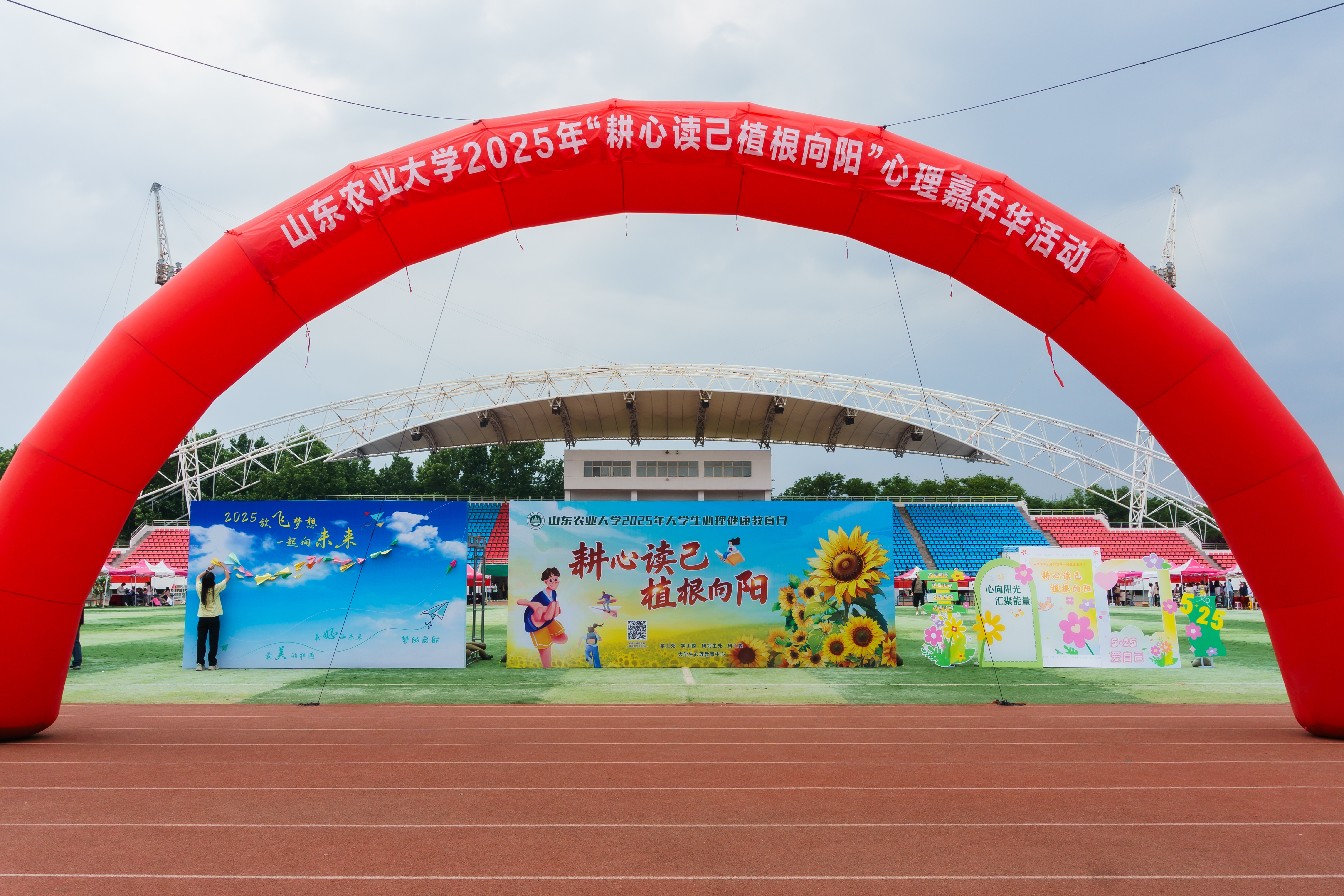 管蕊 (2).jpg 管蕊 (2).jpg