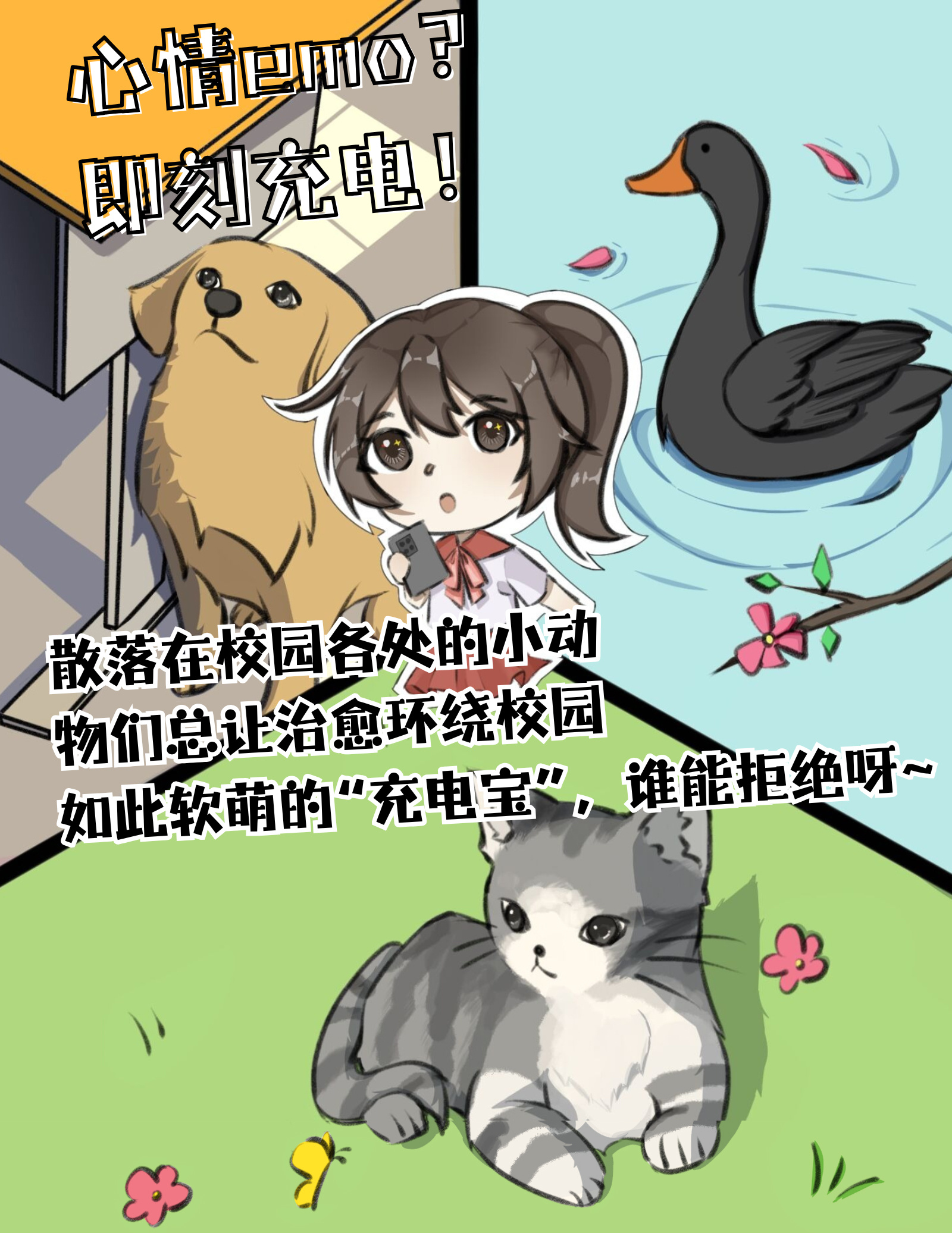 小动物与学子们共度校园时光，时时扮演着“心情充电宝”的角色。（制图：王思雨 杨洋）