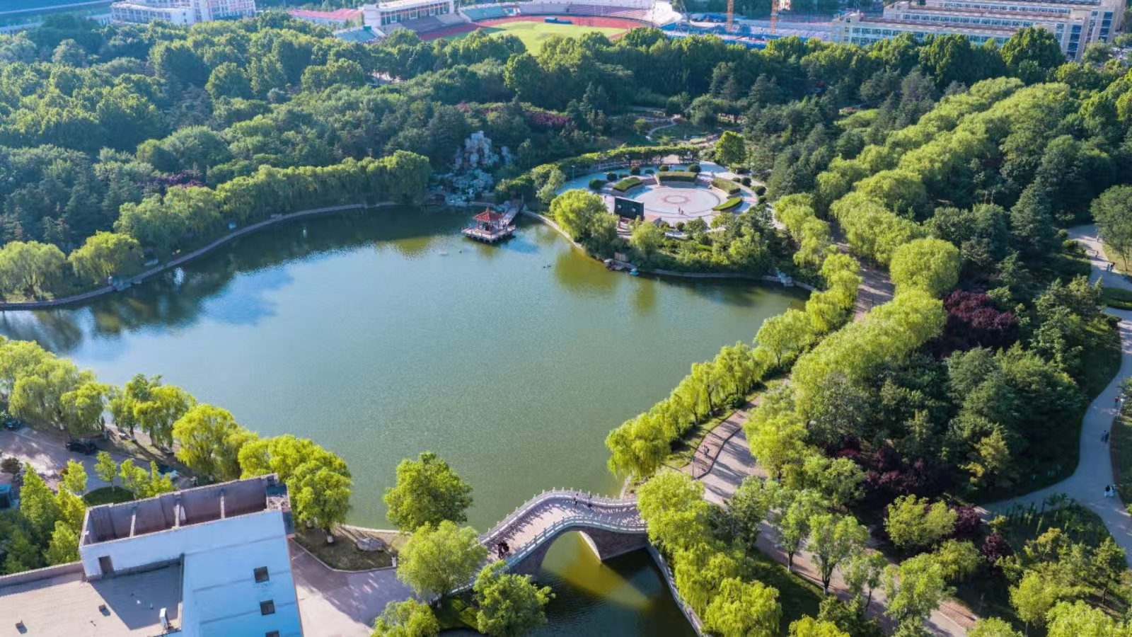 微信图片_20260606134703_2447_1.jpg