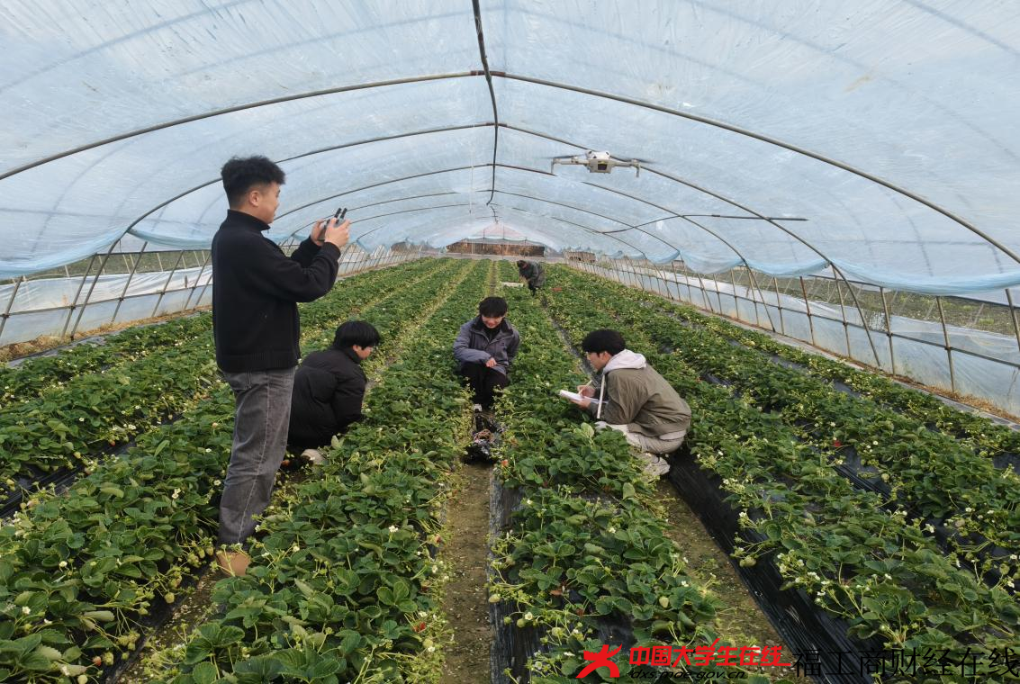 图片7.png 图片7.png