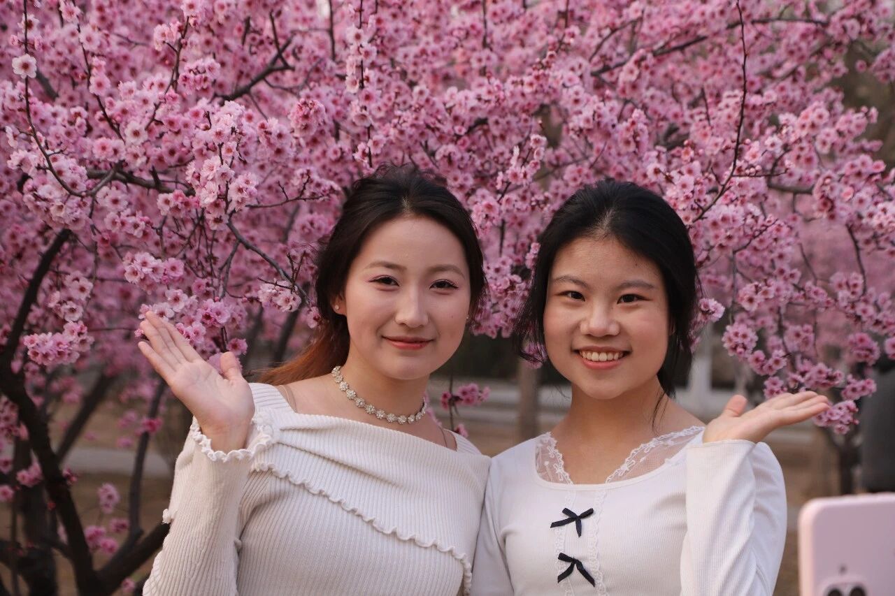 微信图片_2026-03-24_191321_794.jpg 微信图片_2026-03-24_191321_794.jpg