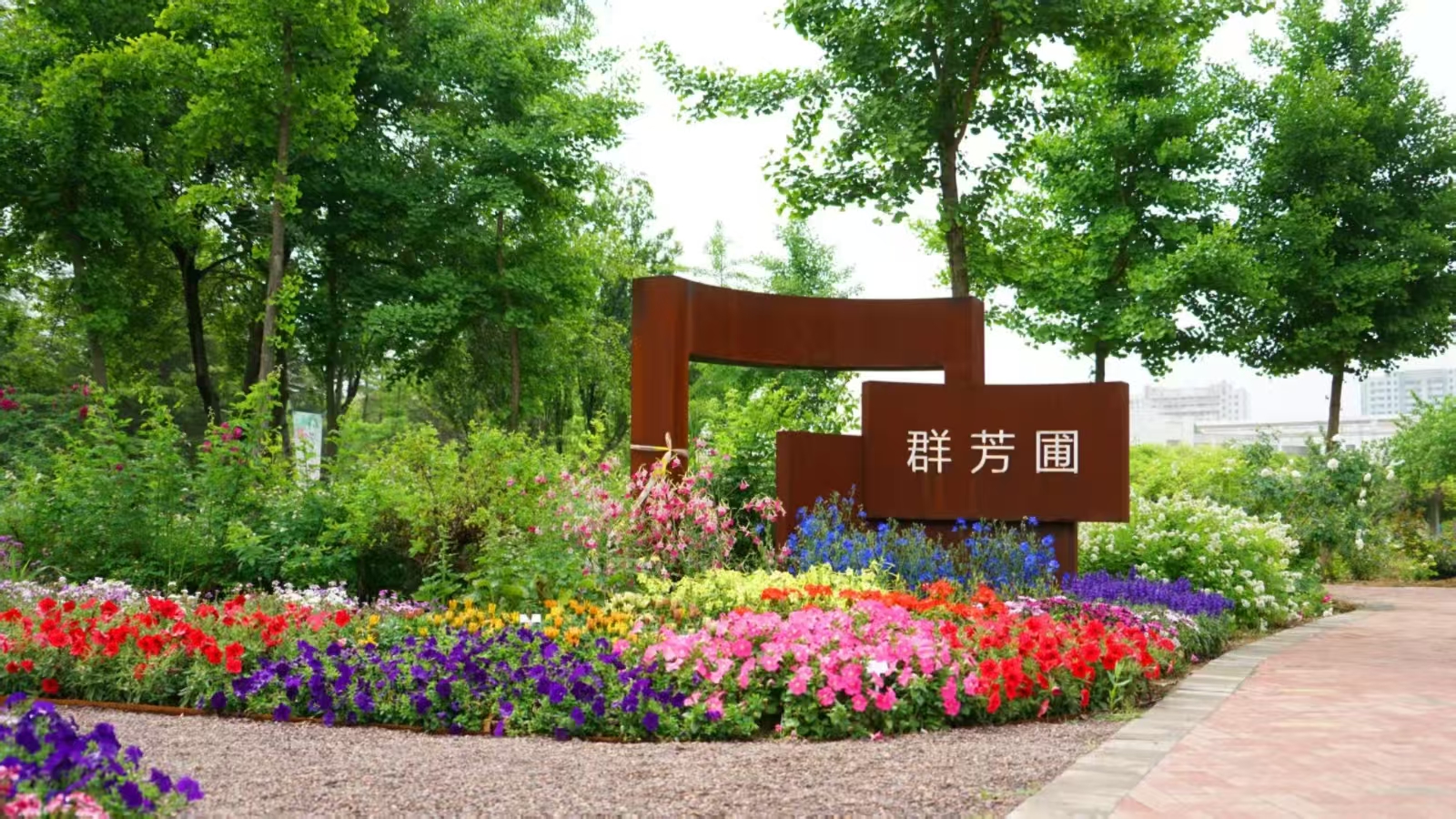 微信图片_20260606134647_2442_1.jpg