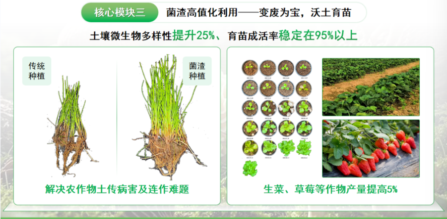 屏幕截图 2025-12-05 195324.png 屏幕截图 2025-12-05 195324.png