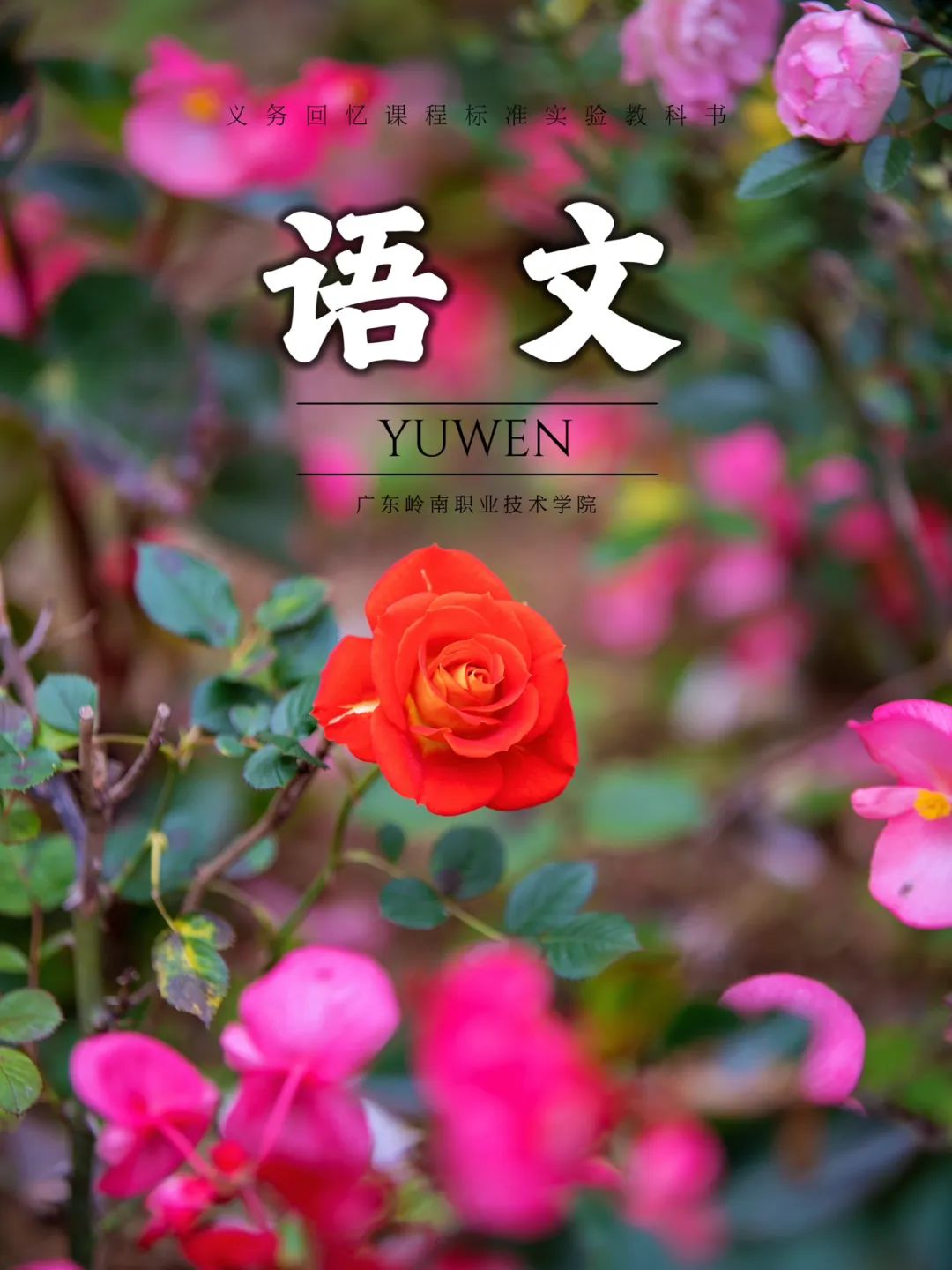 广州校区盛开的花 陈哲昊摄