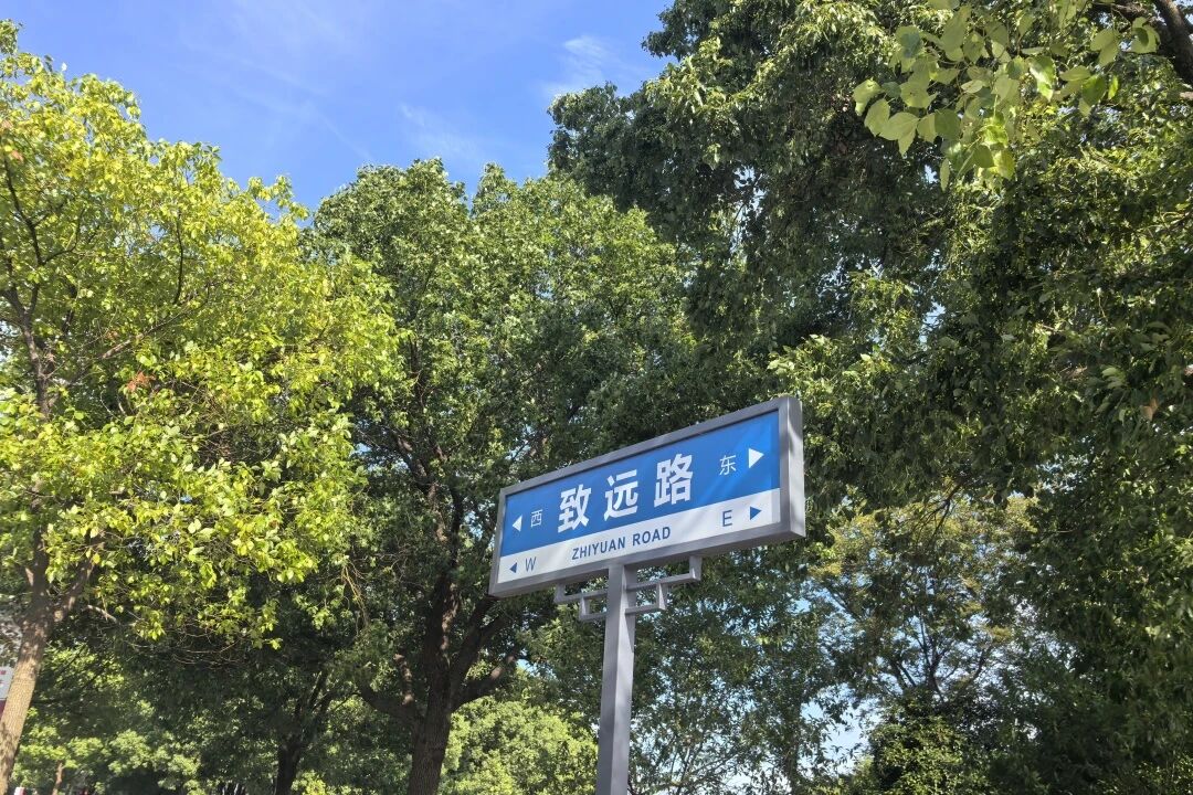 15.jpg 15.jpg