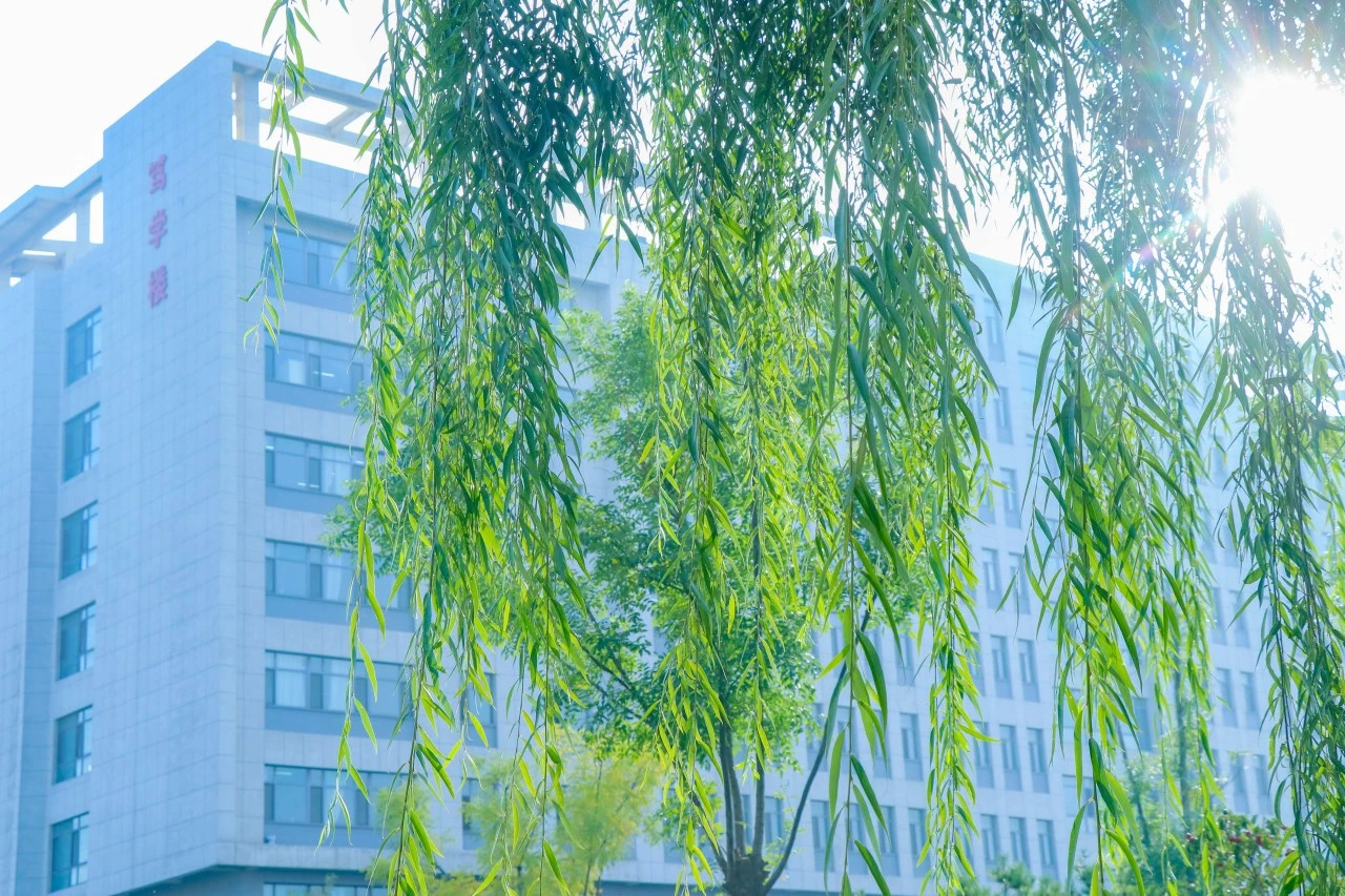 微信图片_20250324161542.jpg