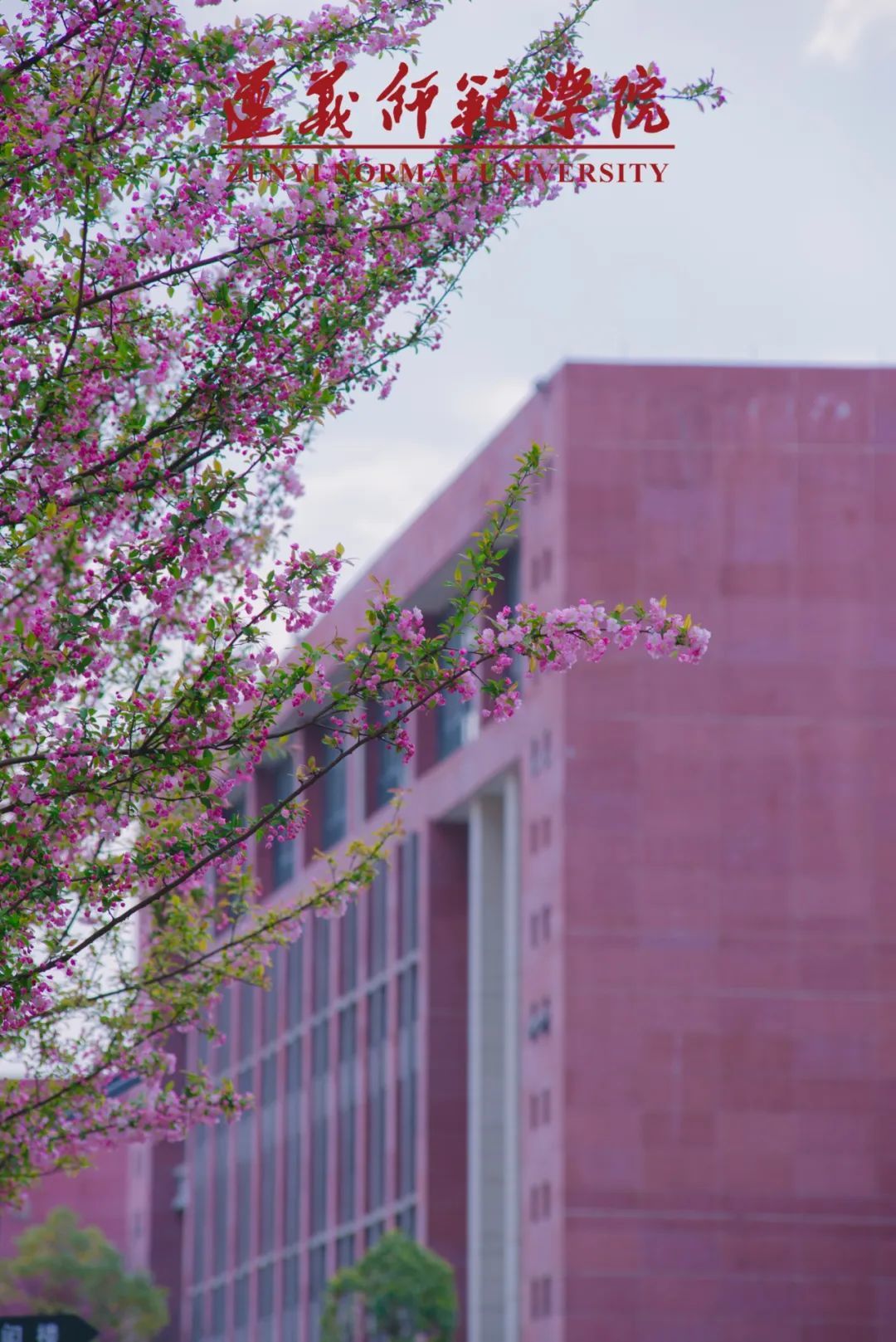 定格遵师之春 播种奋发之籽 - 遵义师范学院 - 中国大学生在线