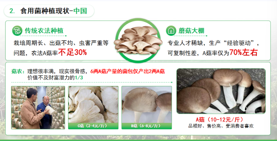 屏幕截图 2025-12-05 194715.png 屏幕截图 2025-12-05 194715.png