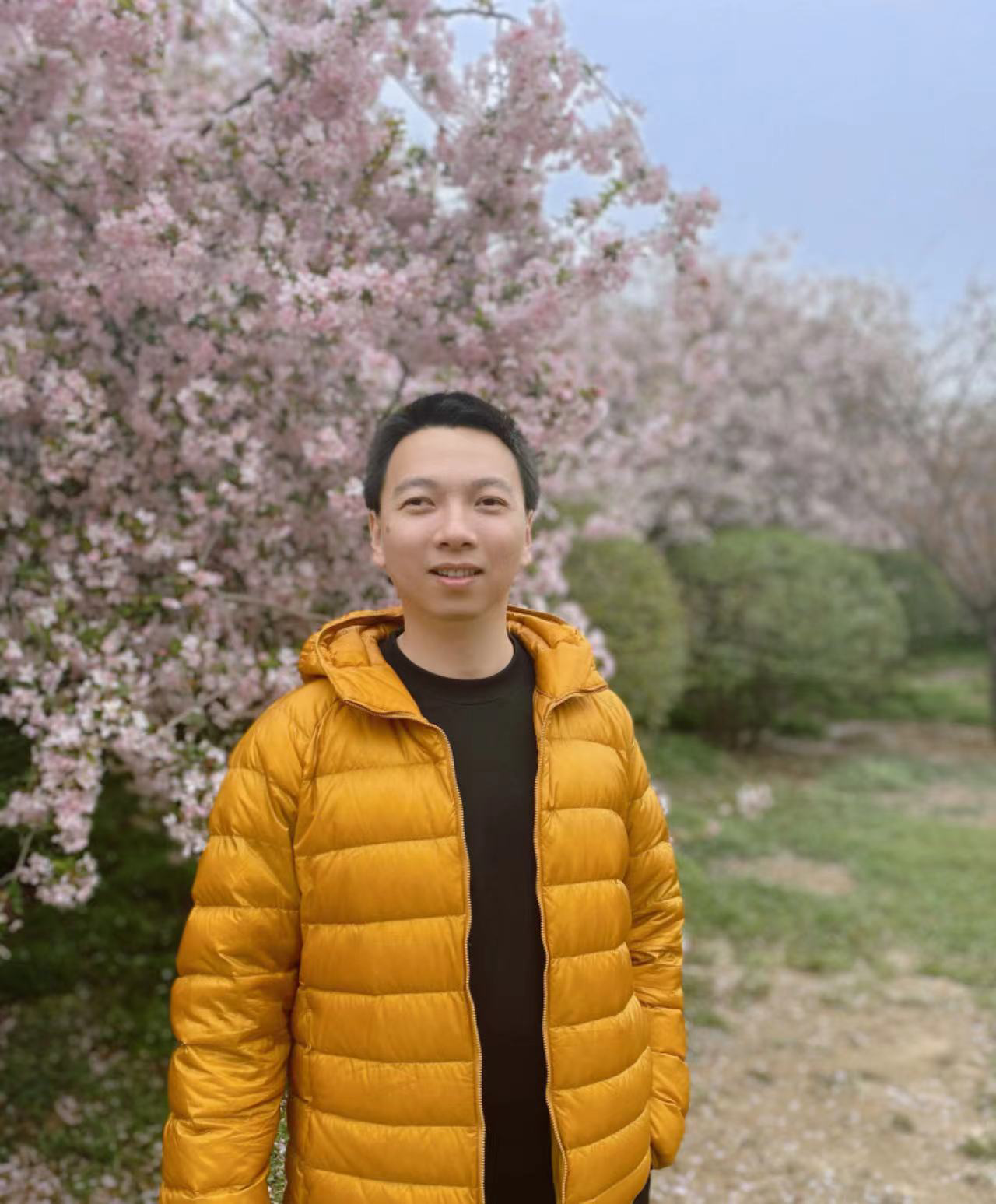 万阳.png 万阳.png