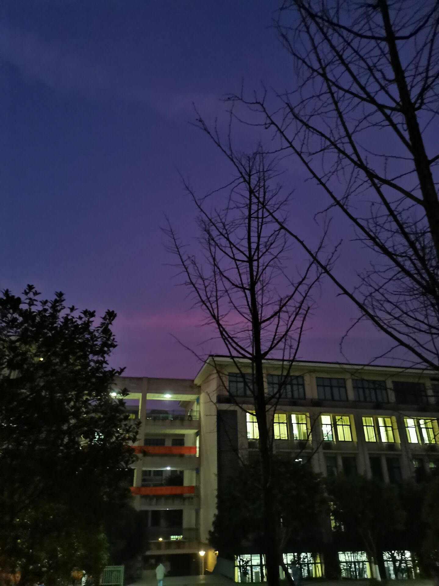 2 郭昕鹭 摄.jpg